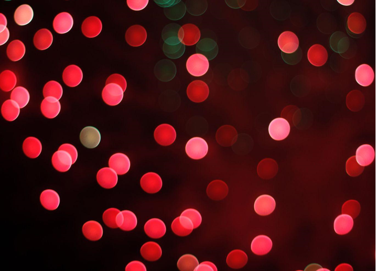 The Beauty of Pink Christmas Trees and the Noble Fir